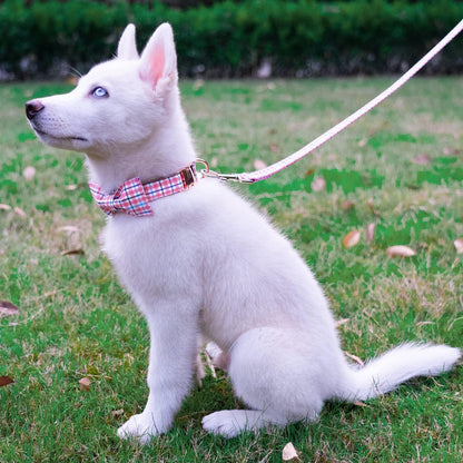 Soft Cotton Handle Pet Leash – Comfortable Walks Made Easy